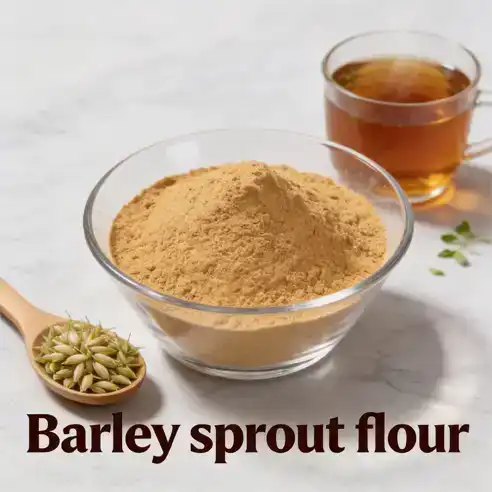 How to Choose the Best Barley Sprout Flour Supplier?